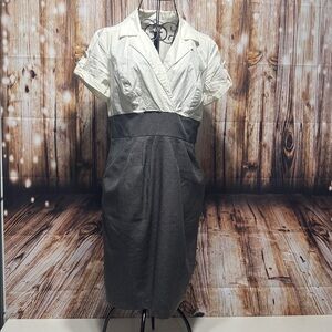 Elegant Two-Tone Women's Dress